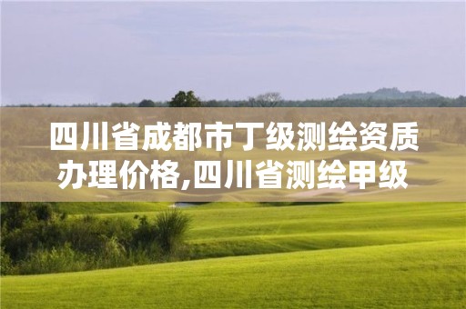 四川省成都市丁级测绘资质办理价格,四川省测绘甲级资质单位