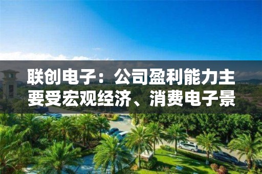 联创电子：公司盈利能力主要受宏观经济、消费电子景气度持续下行以及下游需求等多方面影响