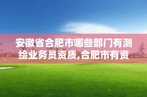 安徽省合肥市哪些部门有测绘业务员资质,合肥市有资质的测绘公司。