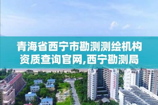 青海省西宁市勘测测绘机构资质查询官网,西宁勘测局。