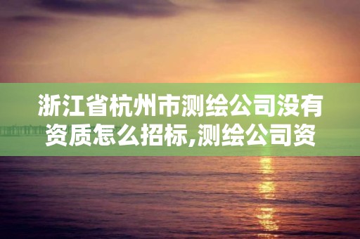 浙江省杭州市测绘公司没有资质怎么招标,测绘公司资质办理条件。