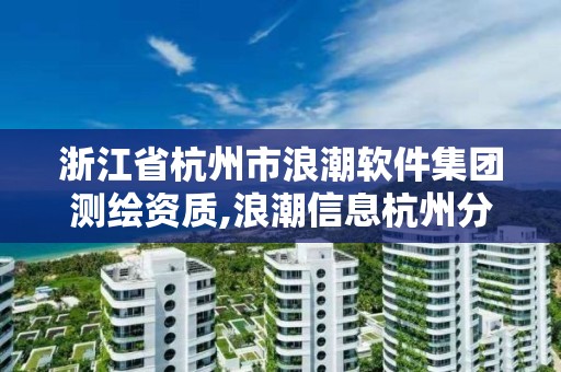 浙江省杭州市浪潮软件集团测绘资质,浪潮信息杭州分公司