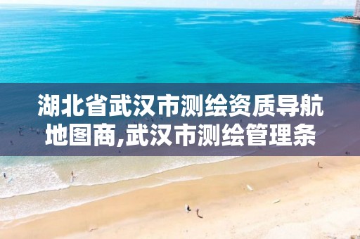 湖北省武汉市测绘资质导航地图商,武汉市测绘管理条例