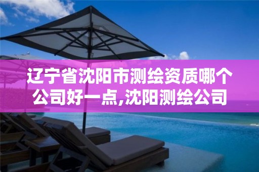 辽宁省沈阳市测绘资质哪个公司好一点,沈阳测绘公司招聘信息最新招聘