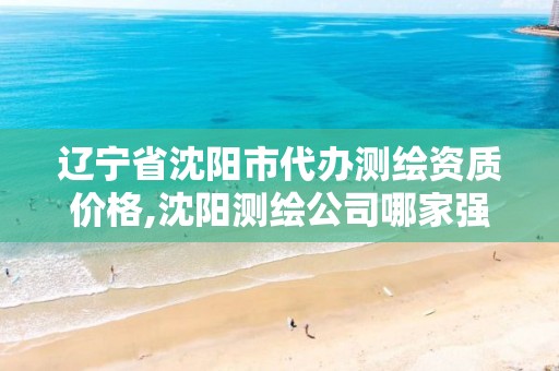 辽宁省沈阳市代办测绘资质价格,沈阳测绘公司哪家强哪家好