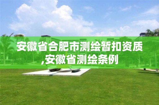 安徽省合肥市测绘暂扣资质,安徽省测绘条例