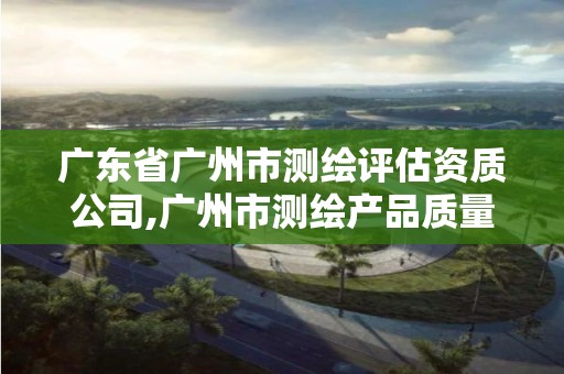 广东省广州市测绘评估资质公司,广州市测绘产品质量检验中心