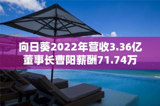 向日葵2022年营收3.36亿董事长曹阳薪酬71.74万