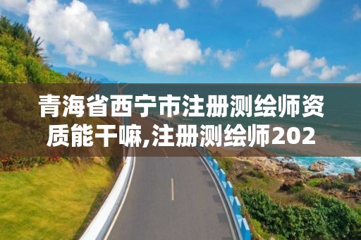 青海省西宁市注册测绘师资质能干嘛,注册测绘师2021政策。