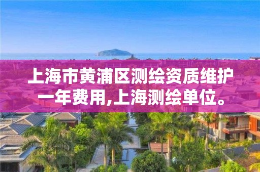 上海市黄浦区测绘资质维护一年费用,上海测绘单位。