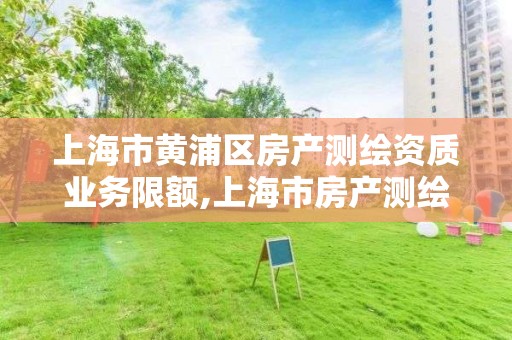 上海市黄浦区房产测绘资质业务限额,上海市房产测绘收费标准