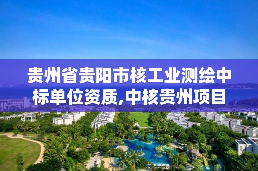 贵州省贵阳市核工业测绘中标单位资质,中核贵州项目。