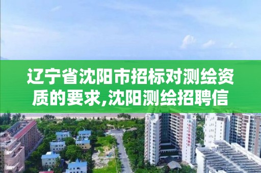 辽宁省沈阳市招标对测绘资质的要求,沈阳测绘招聘信息