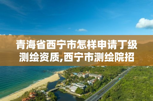 青海省西宁市怎样申请丁级测绘资质,西宁市测绘院招聘公示