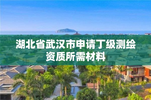 湖北省武汉市申请丁级测绘资质所需材料