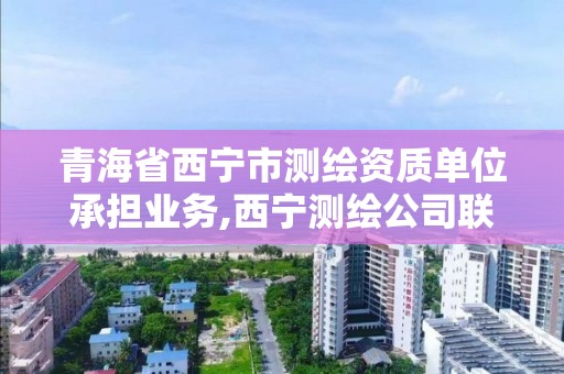 青海省西宁市测绘资质单位承担业务,西宁测绘公司联系方式