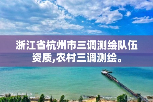 浙江省杭州市三调测绘队伍资质,农村三调测绘。