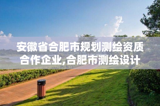 安徽省合肥市规划测绘资质合作企业,合肥市测绘设计研究院是国企吗。