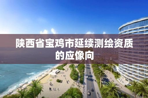 陕西省宝鸡市延续测绘资质的应像向