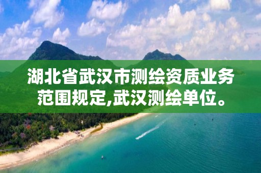 湖北省武汉市测绘资质业务范围规定,武汉测绘单位。