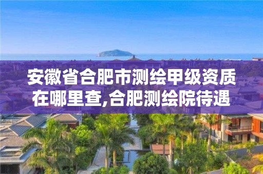 安徽省合肥市测绘甲级资质在哪里查,合肥测绘院待遇怎么样