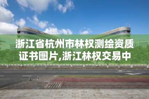 浙江省杭州市林权测绘资质证书图片,浙江林权交易中心。