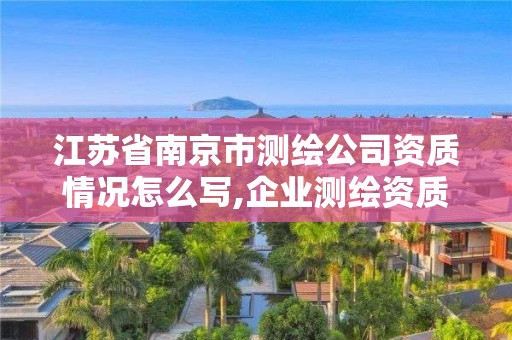 江苏省南京市测绘公司资质情况怎么写,企业测绘资质