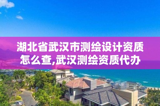 湖北省武汉市测绘设计资质怎么查,武汉测绘资质代办