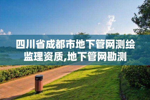 四川省成都市地下管网测绘监理资质,地下管网勘测