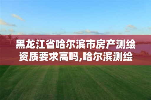 黑龙江省哈尔滨市房产测绘资质要求高吗,哈尔滨测绘局属于什么单位。