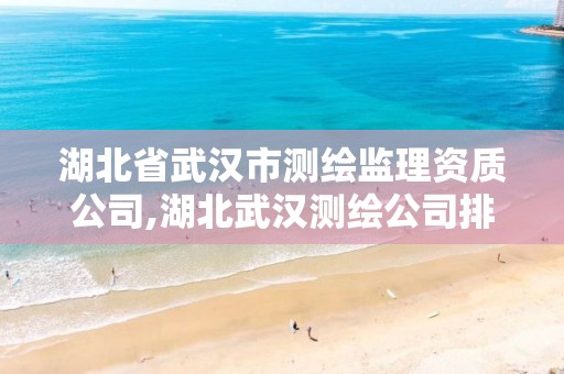 湖北省武汉市测绘监理资质公司,湖北武汉测绘公司排行榜