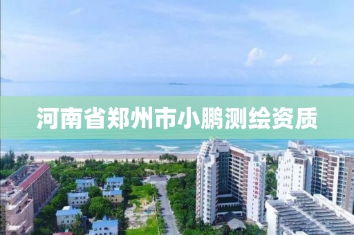 河南省郑州市小鹏测绘资质