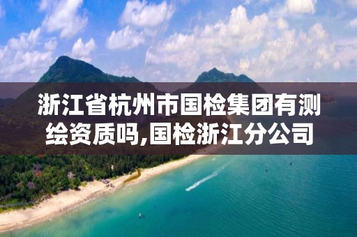 浙江省杭州市国检集团有测绘资质吗,国检浙江分公司。