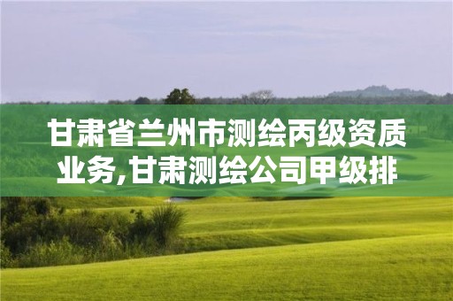 甘肃省兰州市测绘丙级资质业务,甘肃测绘公司甲级排名