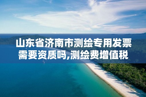 山东省济南市测绘专用发票需要资质吗,测绘费增值税专用发票。