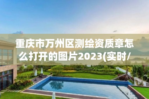 重庆市万州区测绘资质章怎么打开的图片2023(实时/更新中)