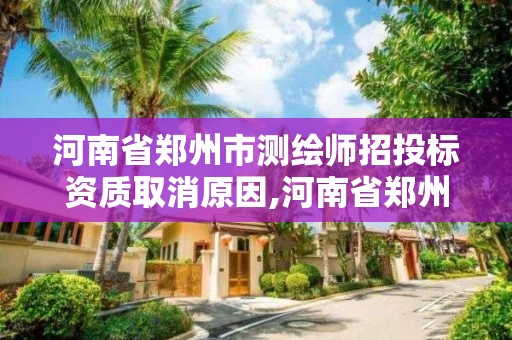 河南省郑州市测绘师招投标资质取消原因,河南省郑州市测绘师招投标资质取消原因有哪些。