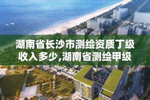 湖南省长沙市测绘资质丁级收入多少,湖南省测绘甲级资质单位