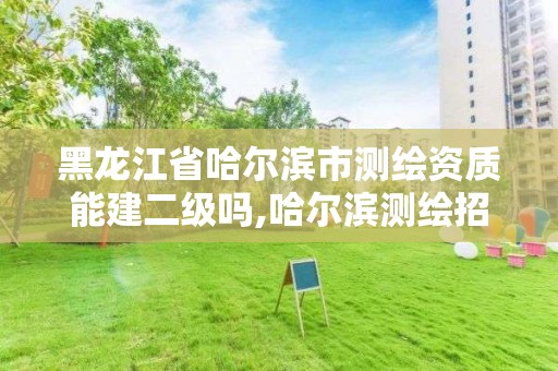 黑龙江省哈尔滨市测绘资质能建二级吗,哈尔滨测绘招聘。