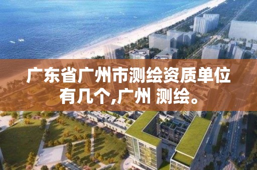 广东省广州市测绘资质单位有几个,广州 测绘。