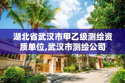 湖北省武汉市甲乙级测绘资质单位,武汉市测绘公司