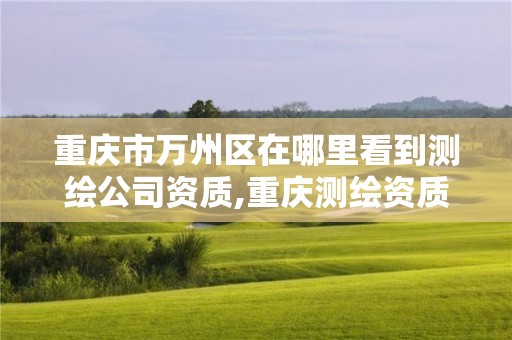 重庆市万州区在哪里看到测绘公司资质,重庆测绘资质办理