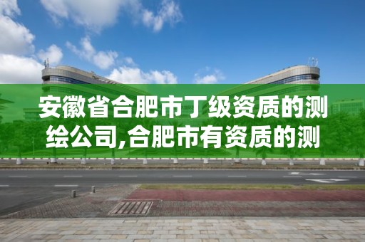 安徽省合肥市丁级资质的测绘公司,合肥市有资质的测绘公司。