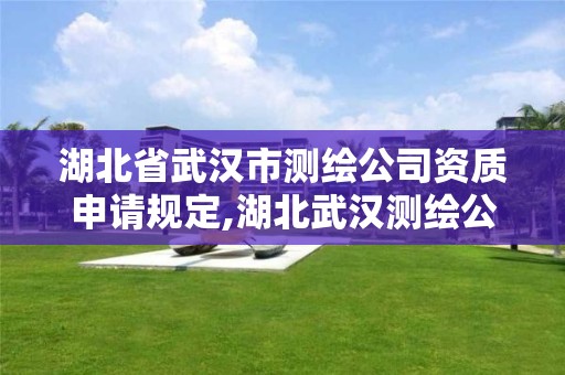 湖北省武汉市测绘公司资质申请规定,湖北武汉测绘公司排行榜