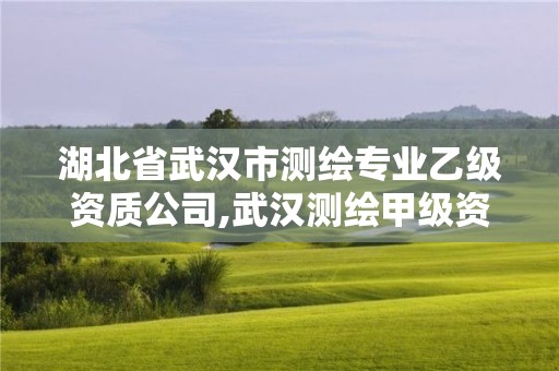 湖北省武汉市测绘专业乙级资质公司,武汉测绘甲级资质公司