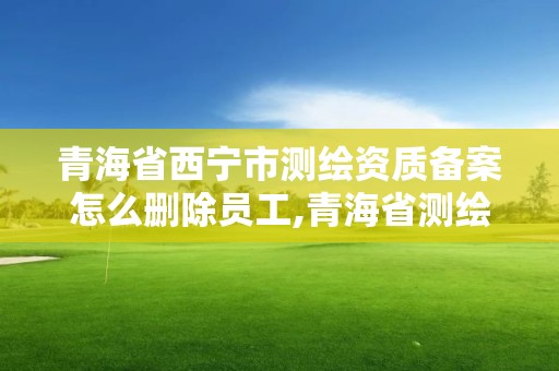 青海省西宁市测绘资质备案怎么删除员工,青海省测绘资质延期公告。