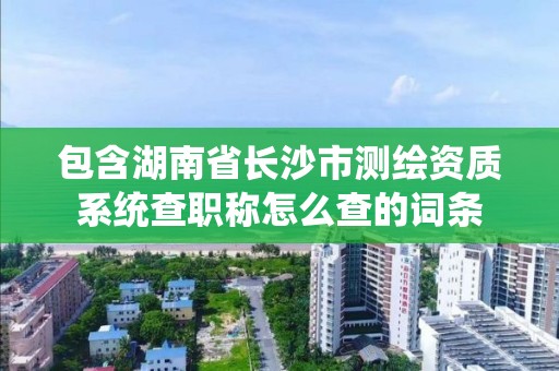 包含湖南省长沙市测绘资质系统查职称怎么查的词条