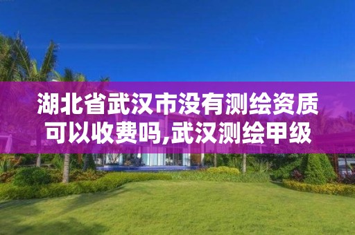 湖北省武汉市没有测绘资质可以收费吗,武汉测绘甲级资质公司