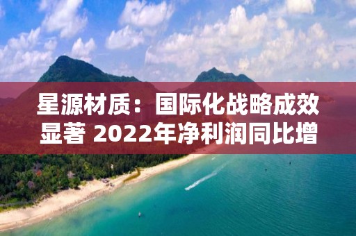 星源材质：国际化战略成效显著 2022年净利润同比增长154.25%