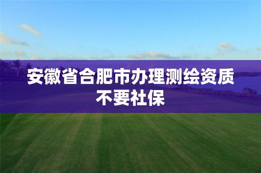 安徽省合肥市办理测绘资质不要社保